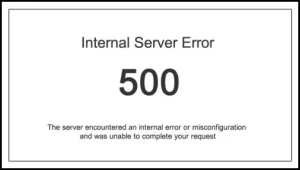 What is HTTP ERROR 500?